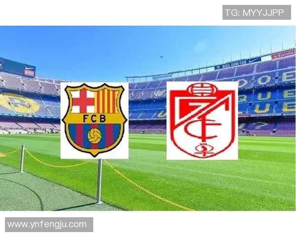 西甲联赛足球电子票：西甲联赛电子票的购买方式与使用指南