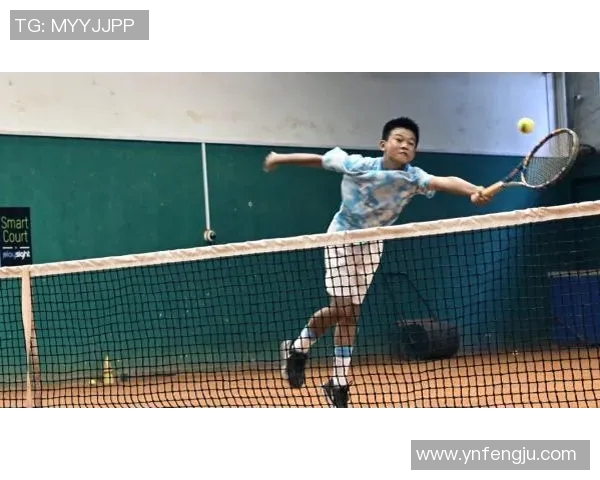 网球运动的魅力与挑战:从基础技巧到职业赛事的全面解析