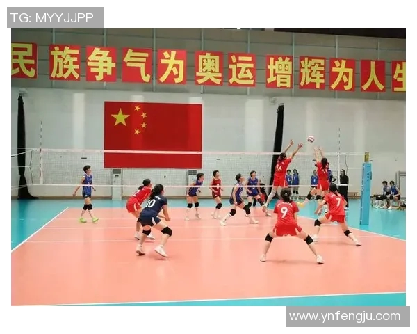 南京排球队在全国排球比赛经验排行榜中荣获第五名的辉煌成就
