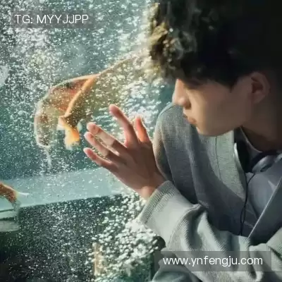 舒舜飚